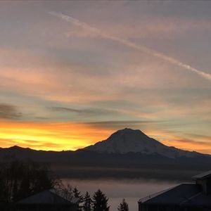 Meet your Posher, Krissa